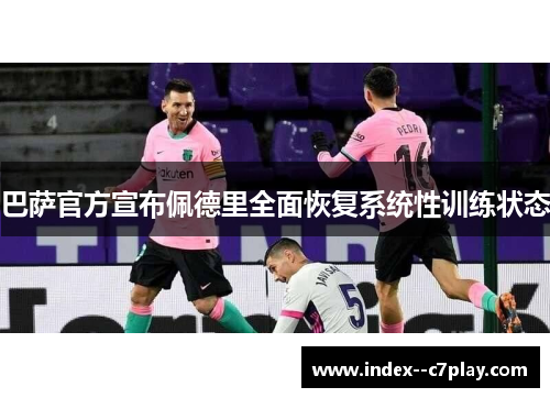 巴萨官方宣布佩德里全面恢复系统性训练状态