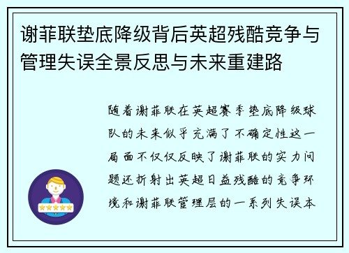 谢菲联垫底降级背后英超残酷竞争与管理失误全景反思与未来重建路 谢菲联垫底降级背后英超残酷竞争与管理失误全景反思与未来重建路